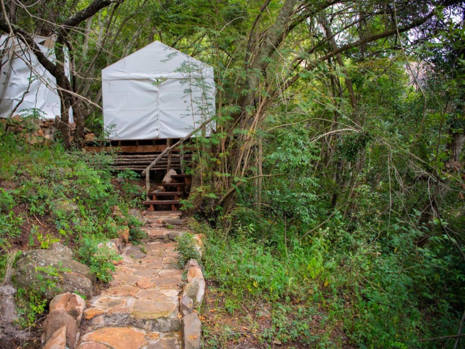Riverbed Africa Lydenburg Extérieur photo