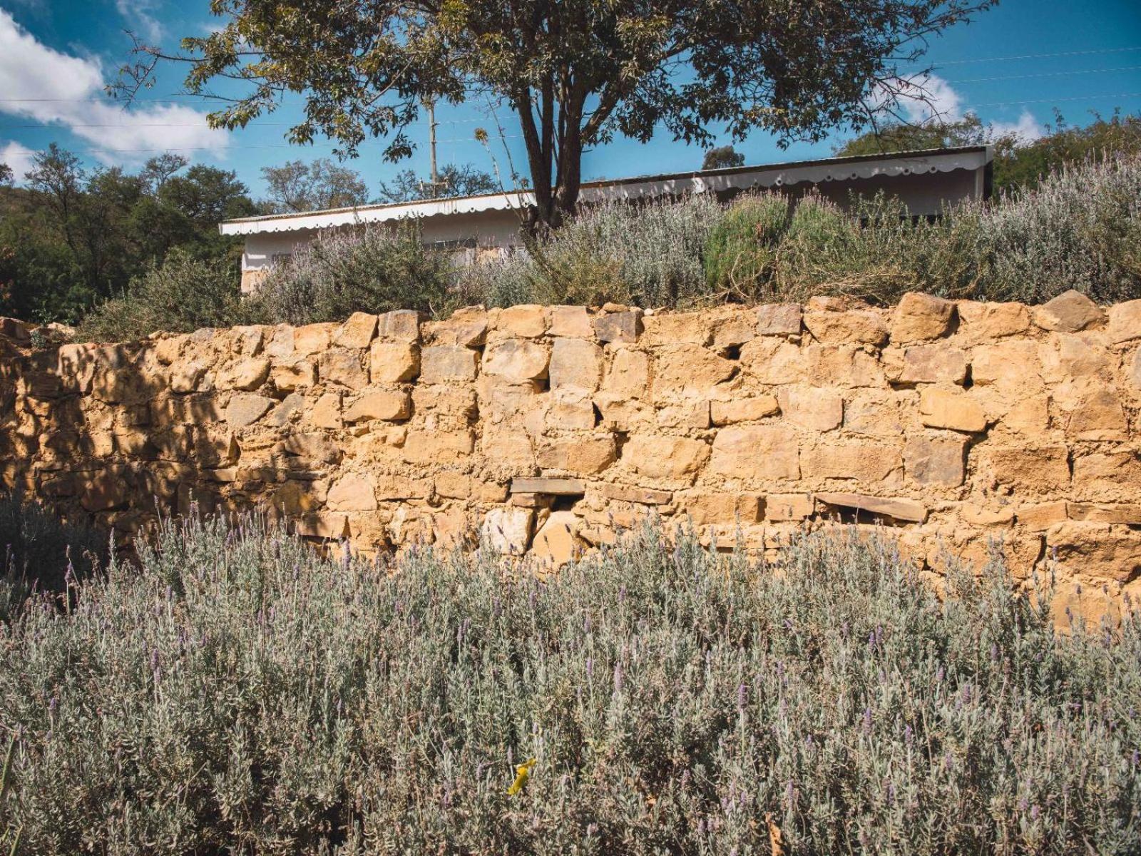 Riverbed Africa Lydenburg Extérieur photo