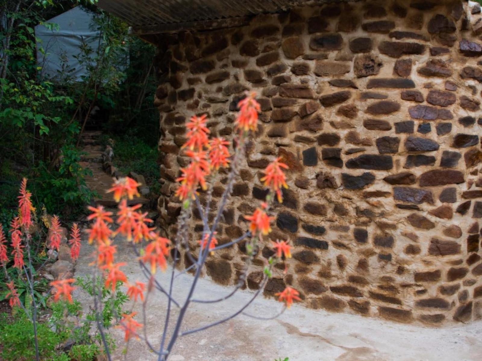 Riverbed Africa Lydenburg Extérieur photo